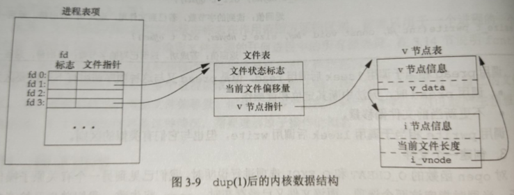 image-20221019002908225